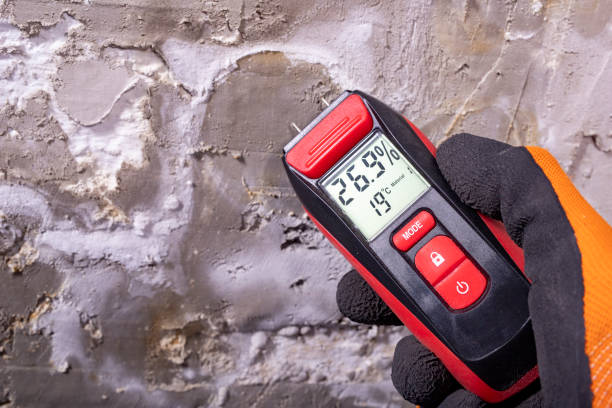 Best HVAC Mold Remediation in Laurium, MI